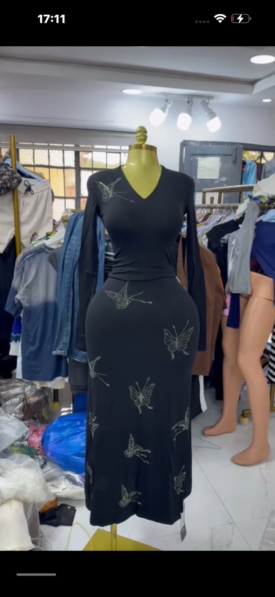 Female butterflie stoned skirt and blouse